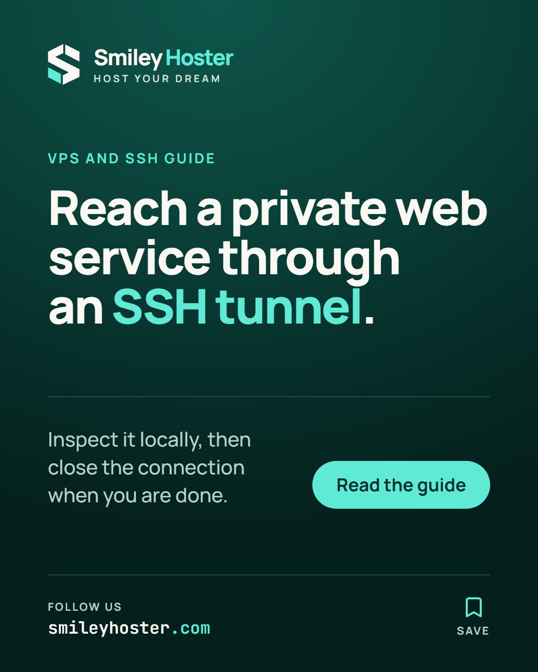 Guide cover about reaching a private VPS web service through a temporary local SSH tunnel.