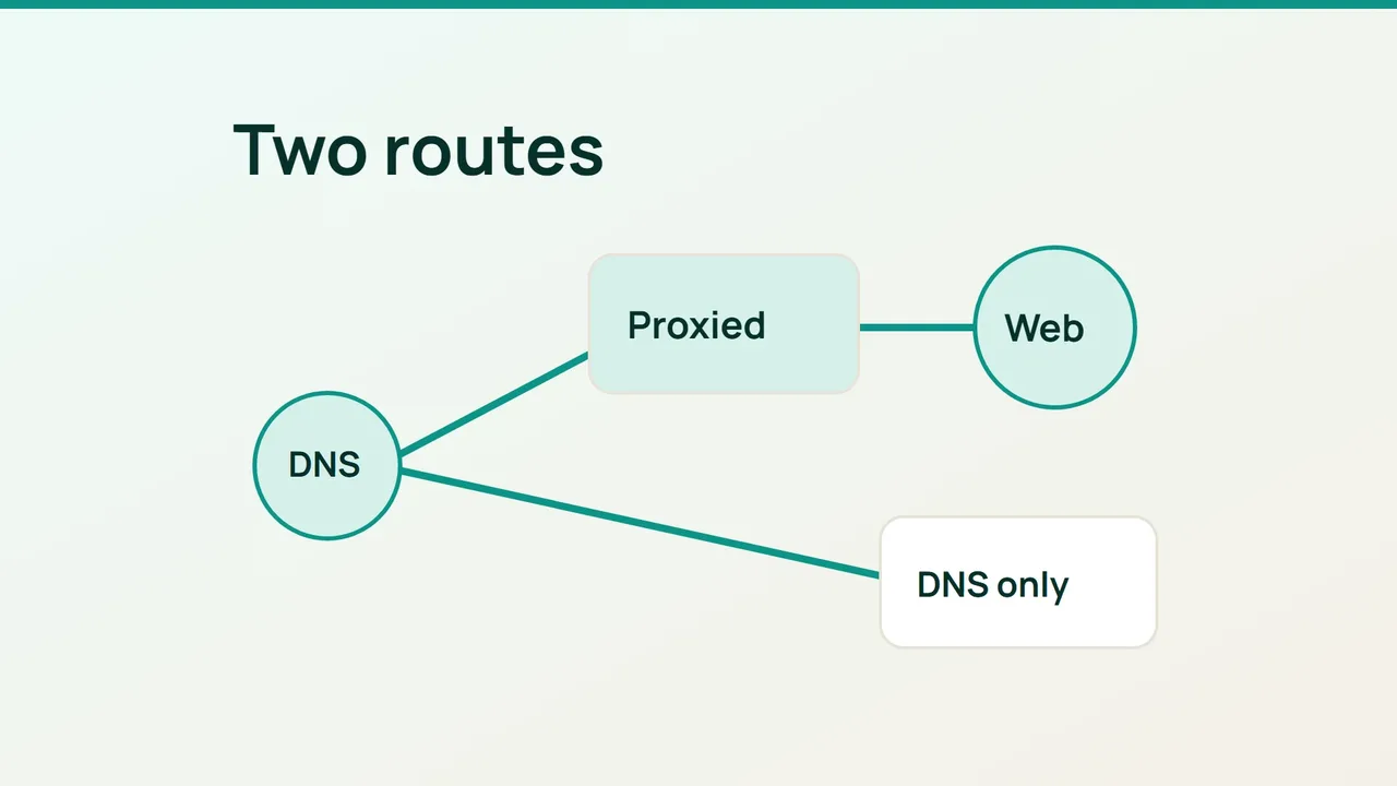 Two DNS routes separate proxied web traffic from DNS-only service.